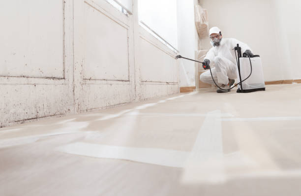 24/7 Emergency Black Mold Remediation experts in Bloomingdale, IL