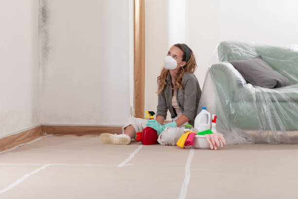 Reliable Black Mold Remediation contractor in Bloomingdale, IL by 24 Hour Mold Removal